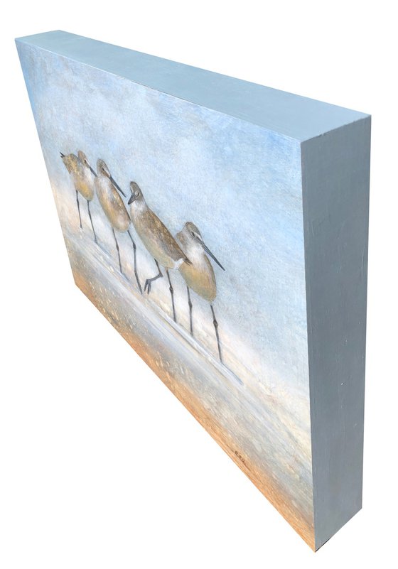 Wading Shorebirds