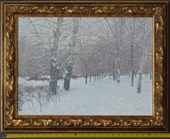 Snow-covered boulevard in Maryino