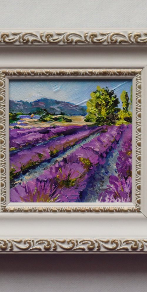 Lavender Fields by Natalia Shaykina