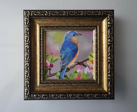 Bird of Happiness. Bluebird
