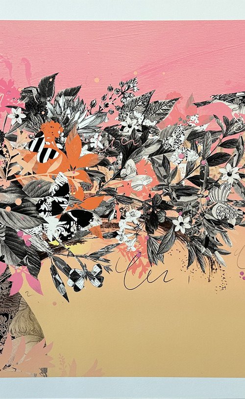 Passages by Olly Howe