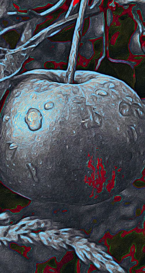 The Silver Apple by Barbara Storey
