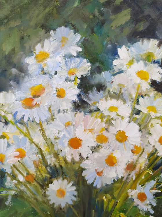 Daisies on a bench