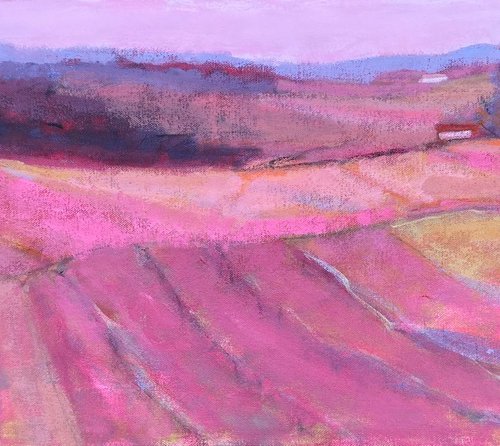 Magenta Afternoon by Chrissie Havers