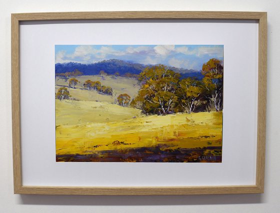 Summer Australian Landscape