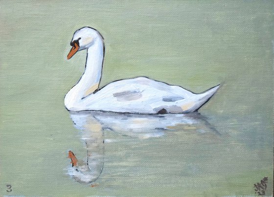 Swan Study Number 3