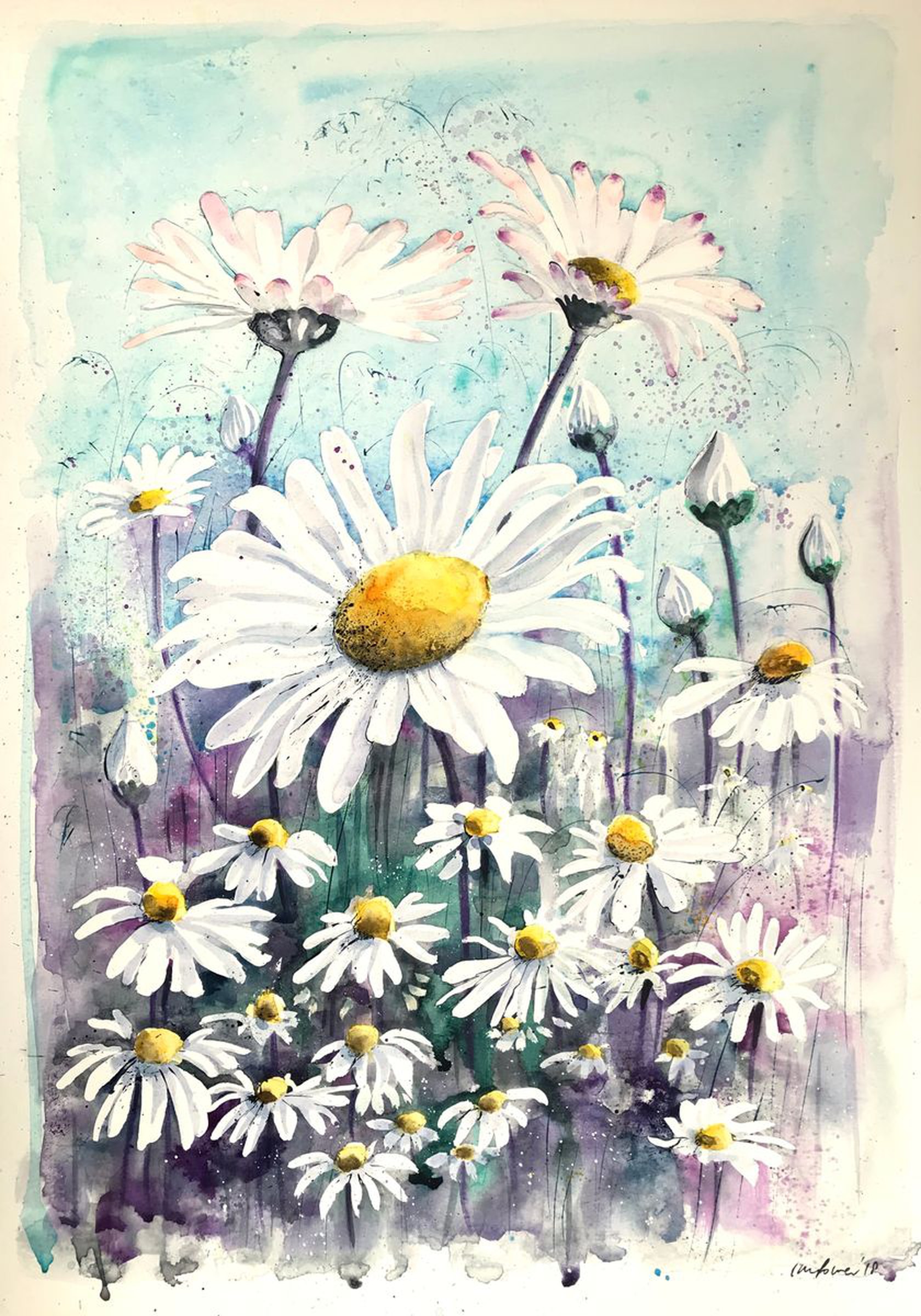 daisies daisy watercolour and ink a2 painting