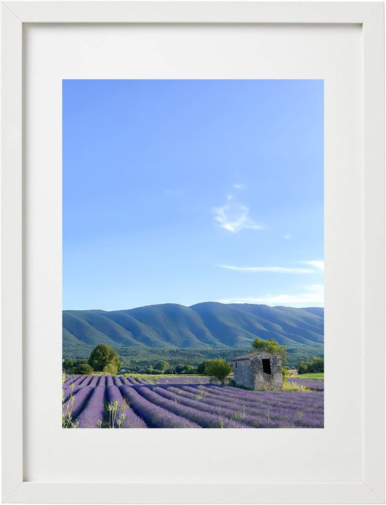 THE COLORS OF PROVENCE