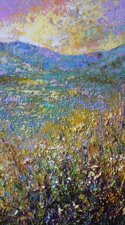 Evening Colour by Colette Baumback