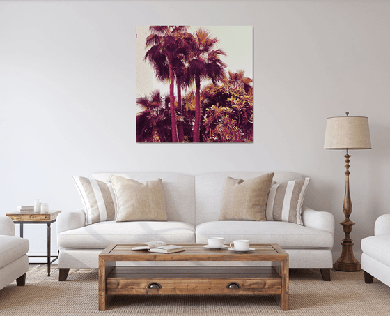 Palms IV