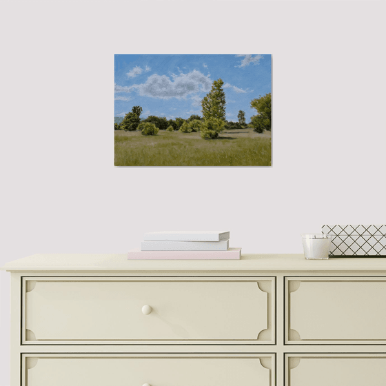 Bar Bushes II - The Calm of Summer Fields