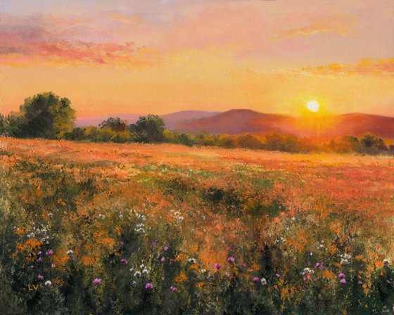 Golden sunset among wildflowers