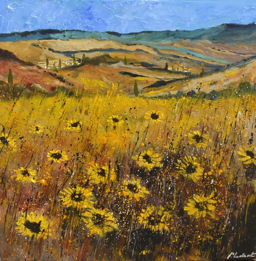 Sunflowers in tuscany 7724 by Pol Henry Ledent