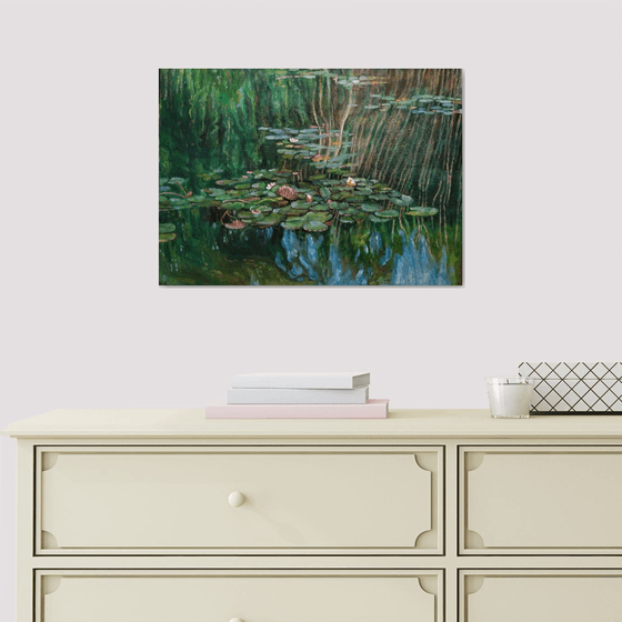 Waterlily