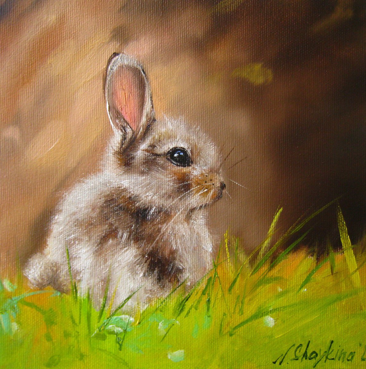 Photorealistic Animal Oil Painting By Natalia Shaykina, 8 X 8", Baby Bunny In Grass, Original Artwork