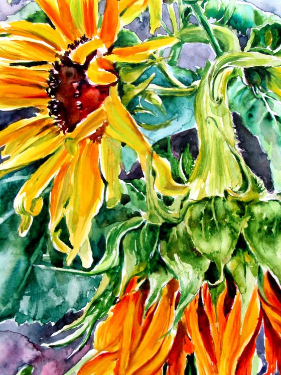 Sunflowers in the garden