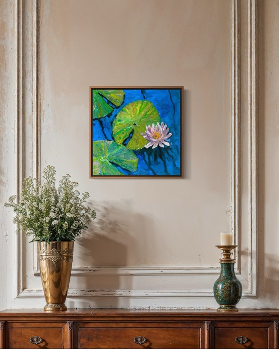 Water lily