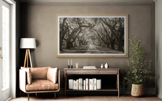 PASSAGES THROUGH TIME III