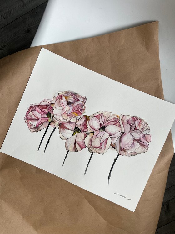 Pink roses pastel