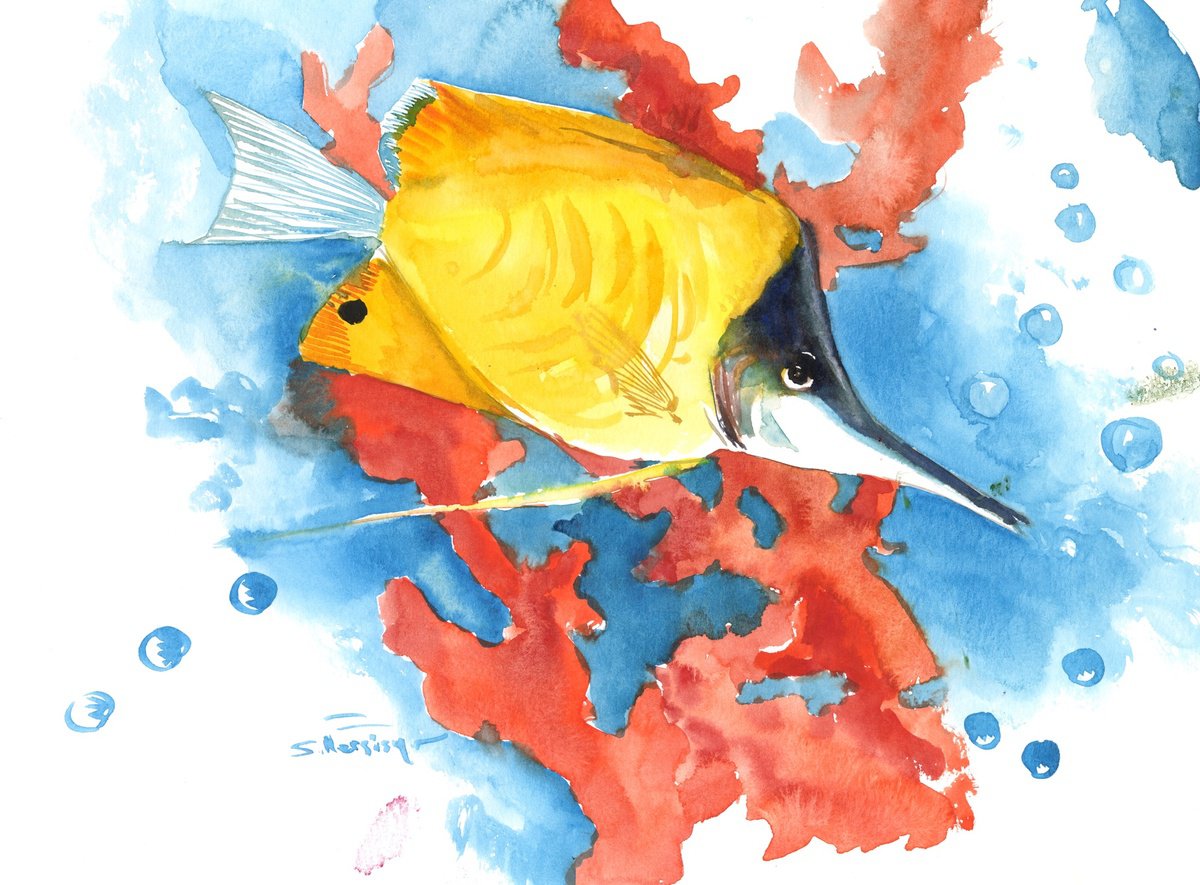 Yellow Longnose Butterflyfish by Suren Nersisyan