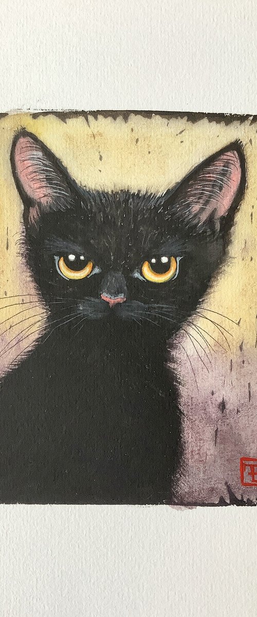 CHATON NOIR by Eva Fialka