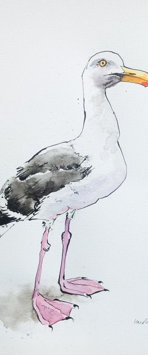 Herring gull by Luci Power