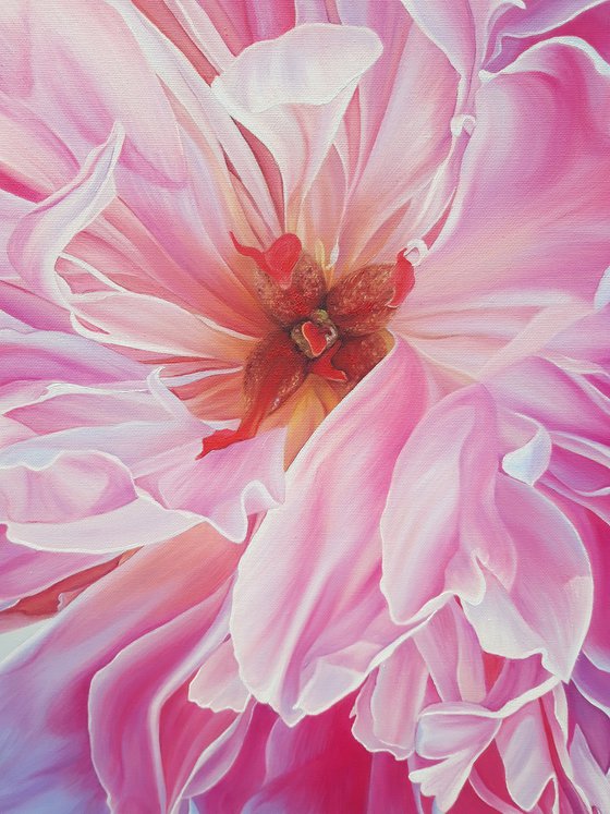 "Sweet love", realistic pink peony