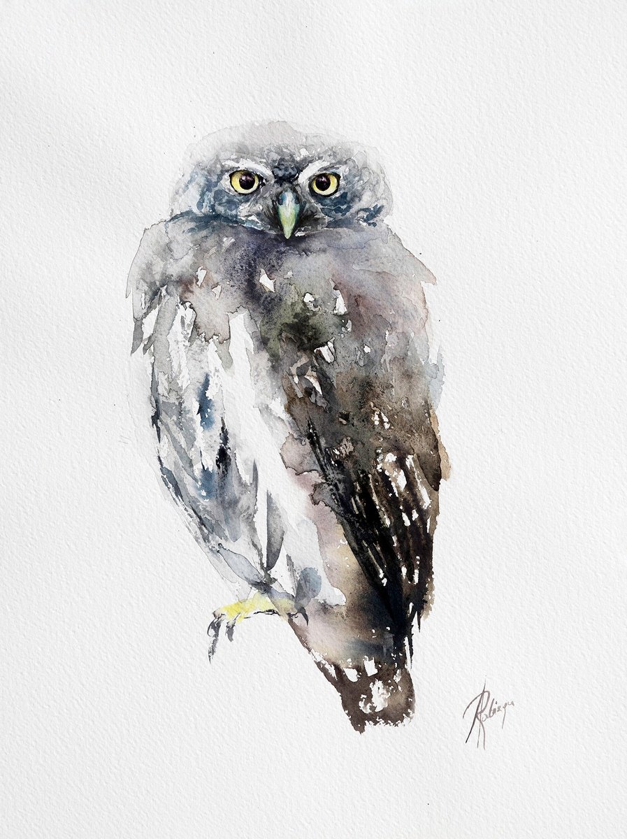 Animal Watercolour By Andrzej Rabiega, 12 X 16, Eurasian Pygmy Owl Ii, Original Artwork