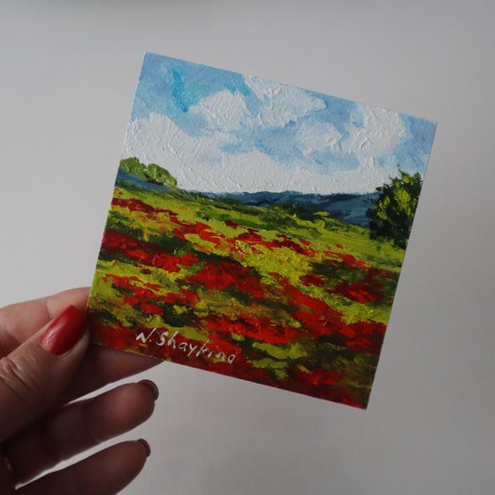 Red Poppy Field and Sky