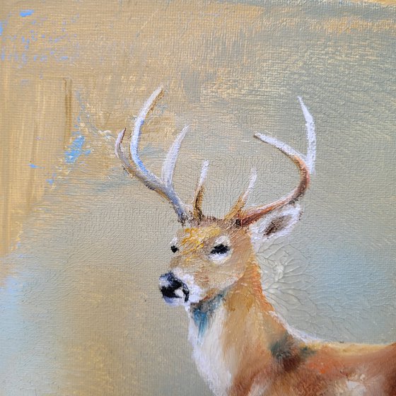 Deer In Soft Colours