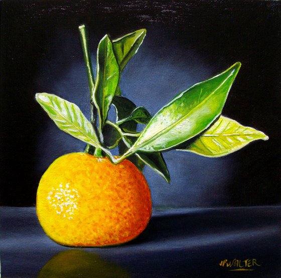 Clementine in chiaroscuro