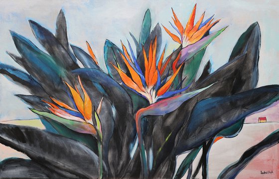 Strelitzia. Bird of Paradise.