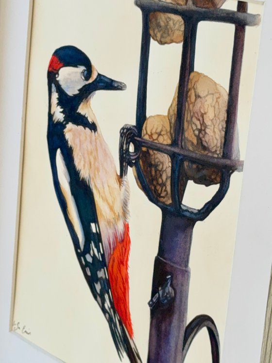 Woody The Woodpecker