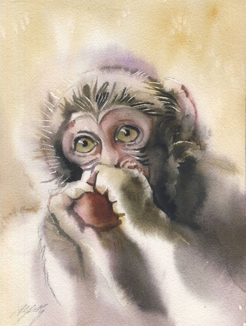 Baby Monkey by Alfred  Ng