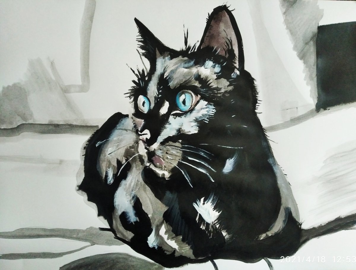 Black cat by Soso Kumsiashvili