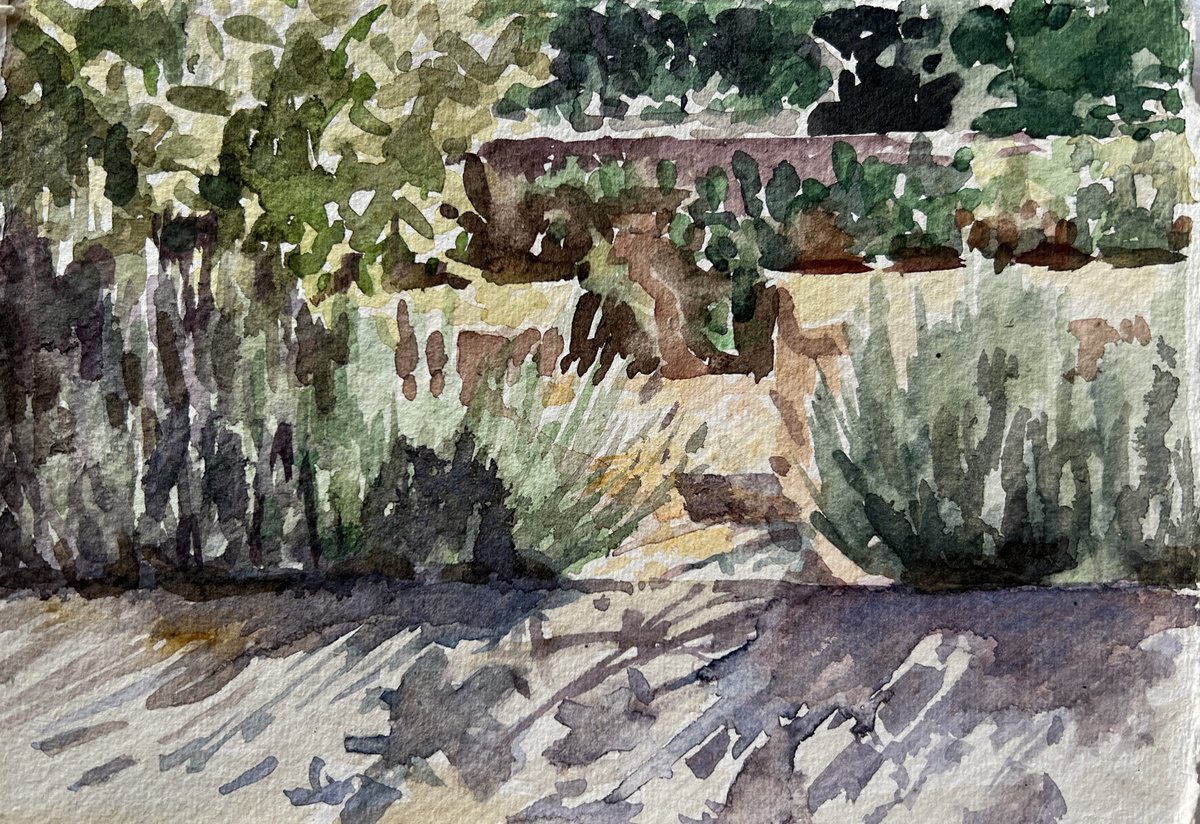 Garden, Kefalonia by Louise Gillard