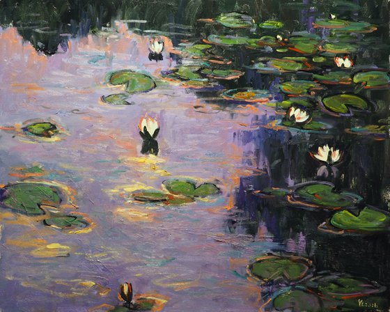 Water Lilies
