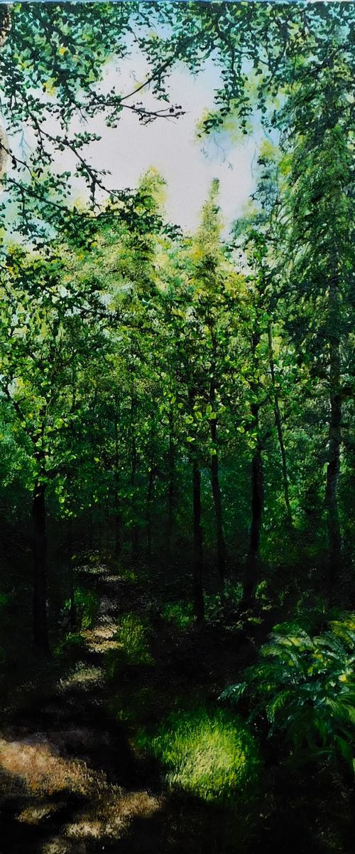A walk Through The Forest by Hazel Thomson