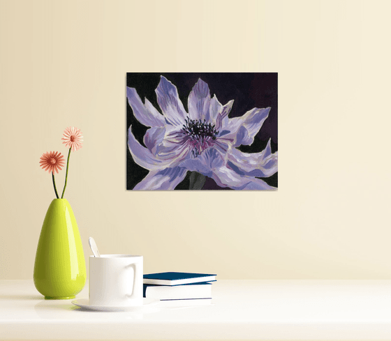 blue anemone