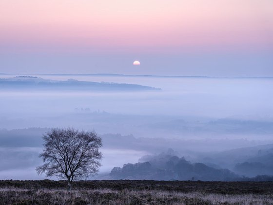Soft sunrise - Dartmoor