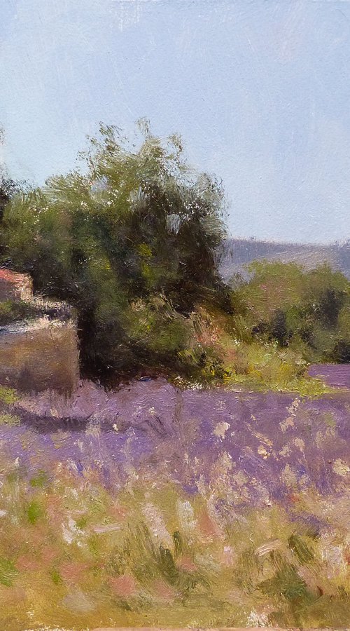 Lavande Chemin du Puys by Pascal Giroud