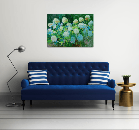 " Hydrangea "