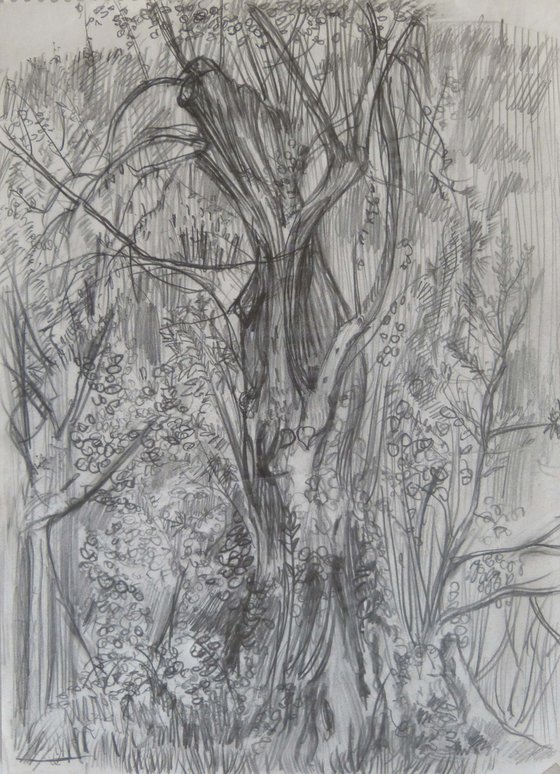 Paysage 69-3, vintage pencil drawing 29x21 cm