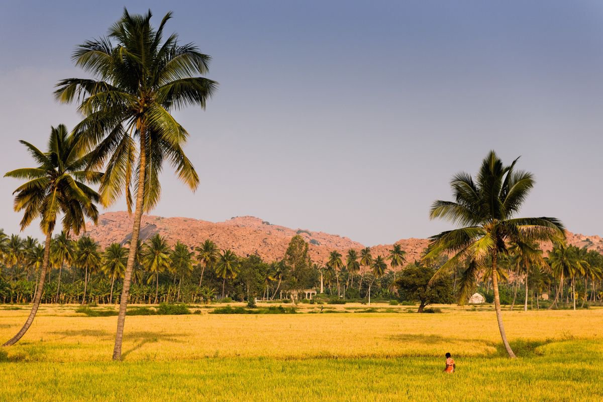 Photorealistic Photograph , Anegundi, India By Tom Hanslien, 47 X 33, Artwork For Sale On Artfinder