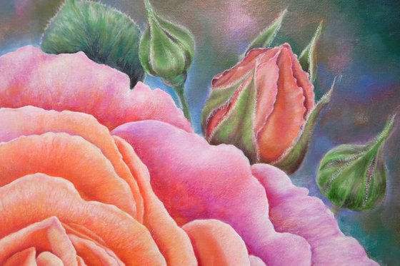 Rose at Dawn