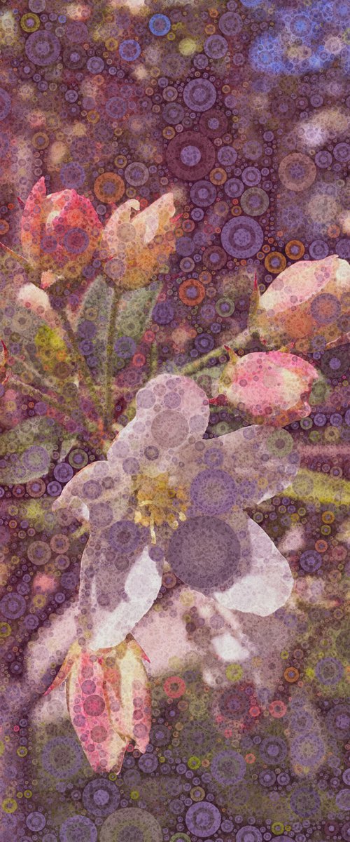 Spring Explosion by Barbara Storey