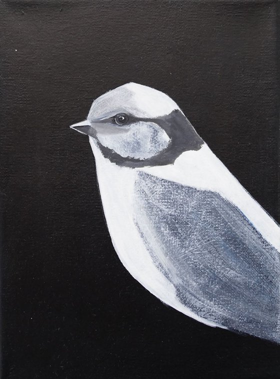 Bird portrait