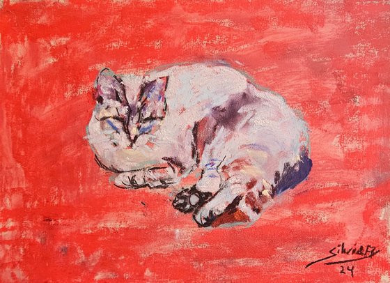 cat in red