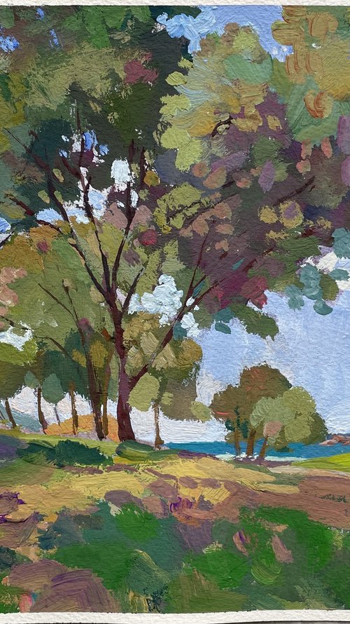 Trees of Santa Ponsa by Nadezda Stupina