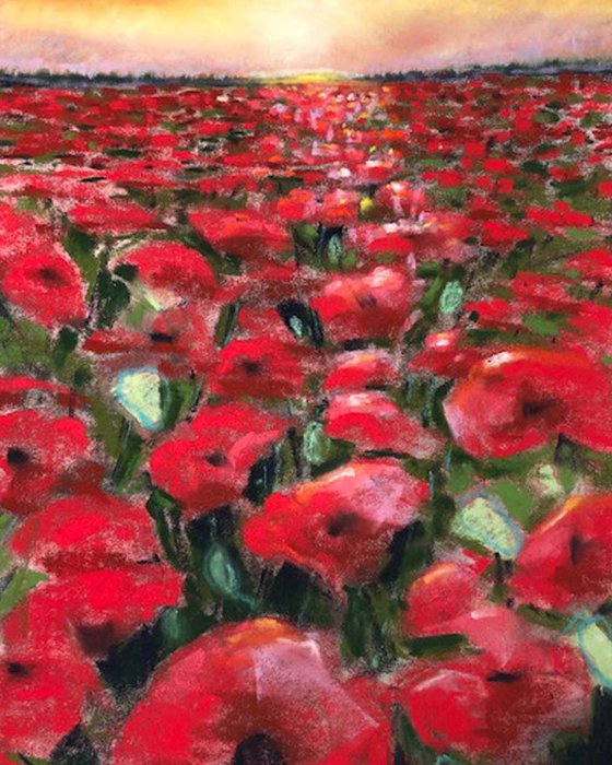 Poppy Fields